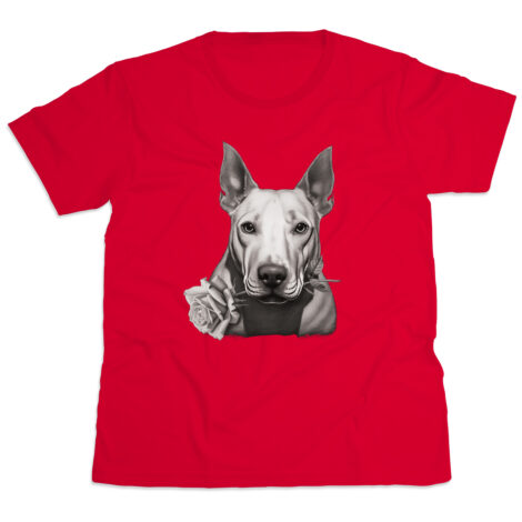 BULLTERRIER PERRO
